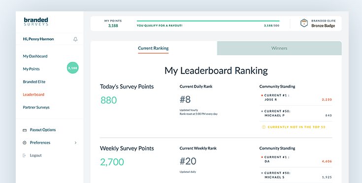 branded surveys leaderboard