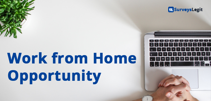 work from home opportunity