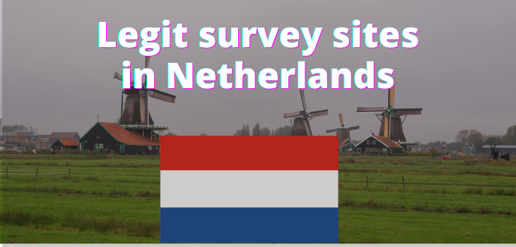 🔥 18 Fantastic Survey Sites for The Netherlands (legit & safe)