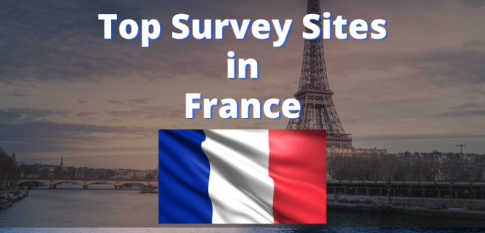 Top Sites for Paid Surveys in France