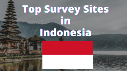 🔥 23 Best Online surveys Sites in Indonesia